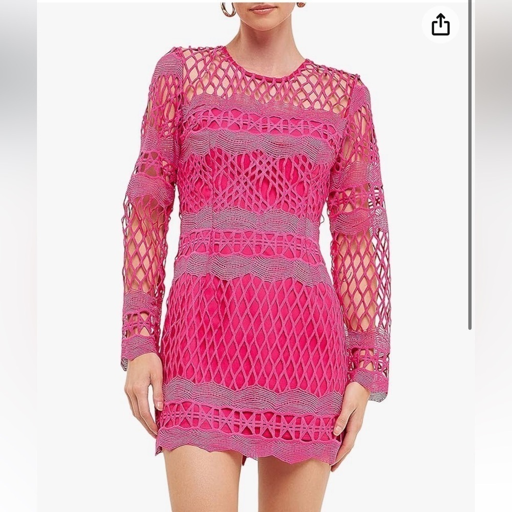 Endless Rose Pink Lace Crochet Bodycon Mini Dress